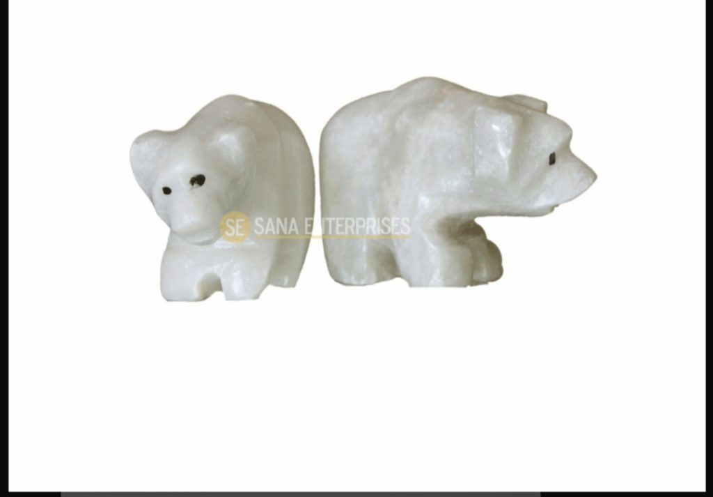 Polar Bears